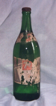 cover.jpg (223714 bytes)